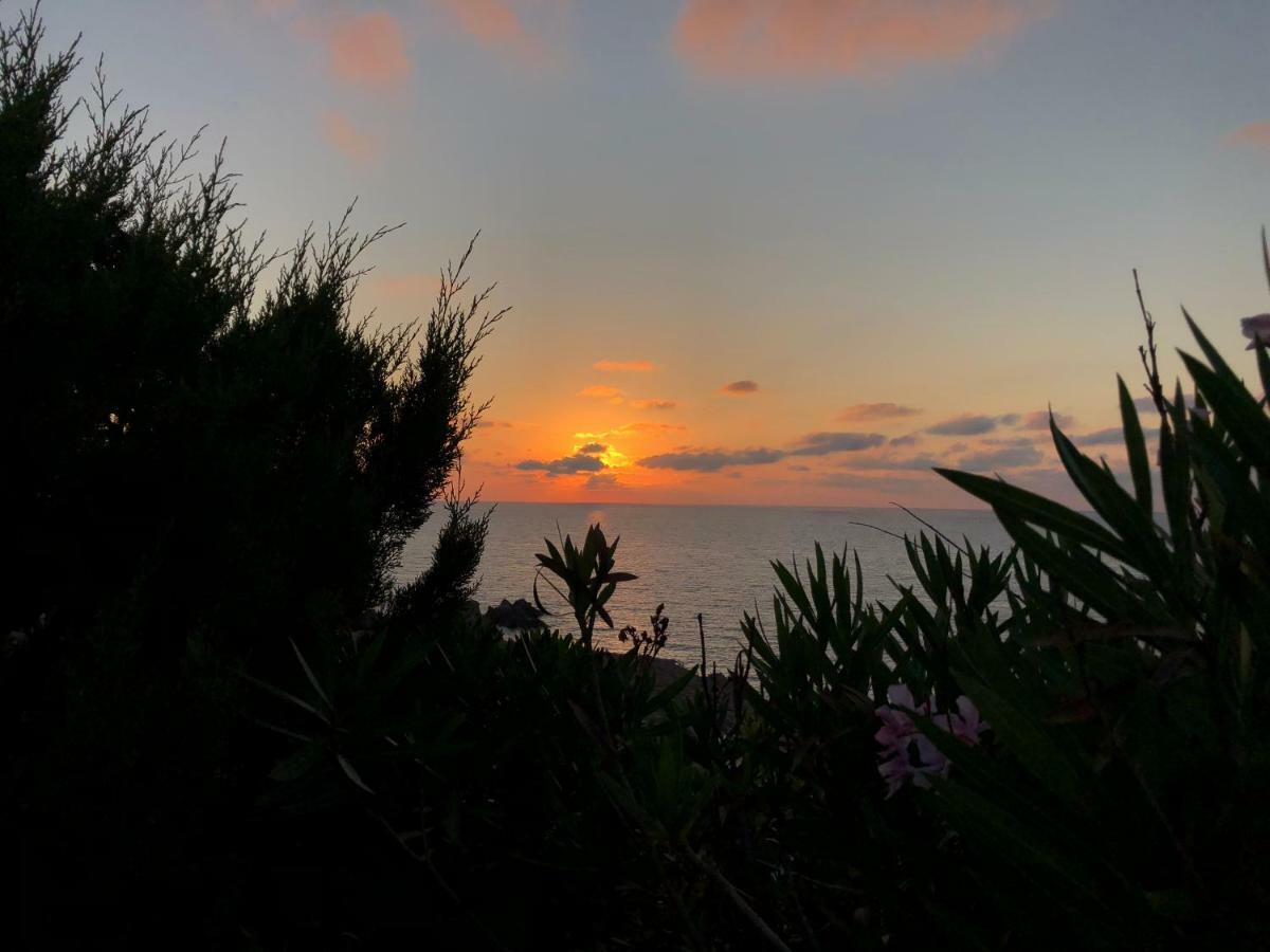 Scoglio A Costa Paradiso Lägenhet Exteriör bild