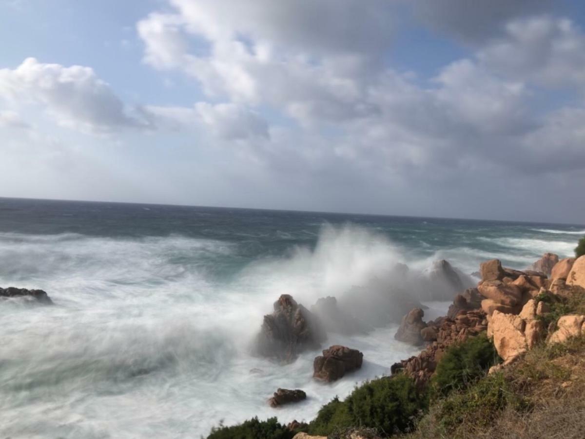 Scoglio A Costa Paradiso Lägenhet Exteriör bild